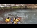 Dog rescued after falling into frozen lake