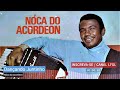 noca do acordeon baião e choro estilizado