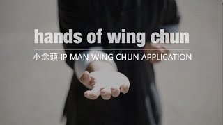 HANDS OF WING CHUN