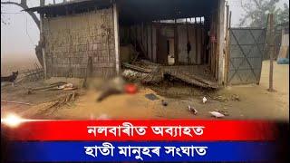 নলবাৰীত অব্যাহত হাতী মানুহৰ সংঘাত। এইবাৰ শ্ৰীপুৰ নীলপুৰত হাতীৰ উপদ্ৰৱ ৷