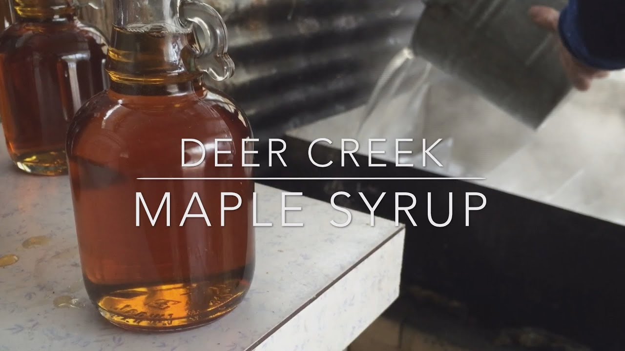 Let's Make Some Maple Syrup! - YouTube