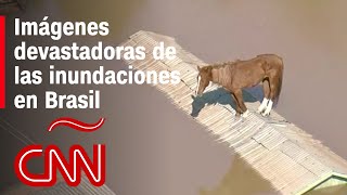 Lo más impactante de las inundaciones en Brasil: un caballo en el techo, la “ciudad fantasma” y más