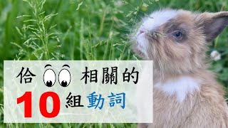 臺語教學｜佮「目睭」相關的 10 組動詞佮語詞｜真平版國中第二冊 語文天地（一）第34頁｜閩南語｜2023