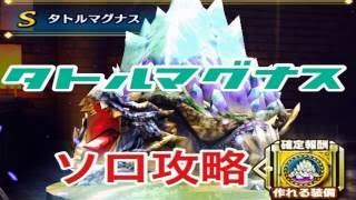 【ドラプロ】タトルマグナス100LVソロ攻略