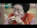 생방송 오늘 아침 온 마을이 키우는 초보 농사꾼 상추 부부 mbc 241016 방송