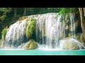 Relaxing Waterfall River For Sleeping With 4k Qualitee