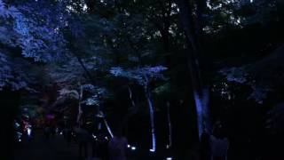 2016/08/18 下鴨神社 糺ノ森の光の祭 2