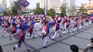 第13回浜松がんこ祭1日目(2013/3/16)「桜家一門YOSAKORI隊」