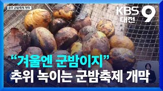 “겨울엔 군밤이지”…추위 녹이는 군밤축제 개막 / KBS  2023.01.06.