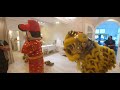 2022 traditional lion dance for shop opening @ puchong by malaysia long wei dragon u0026 lion dance