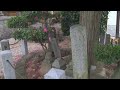 戦国今川氏紀行 今川義元公［菩提寺・首実験の地］［桶狭間の戦い戦没者慰霊碑］〔尾張・長福寺〕