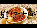 ダイソーのインスタントコンロで肉からウナギ焼いてみた