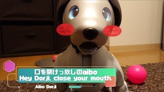 口をしばらく開けっ放しのaibo - Hey Dorji, Please close your mouth. 【アイボ】