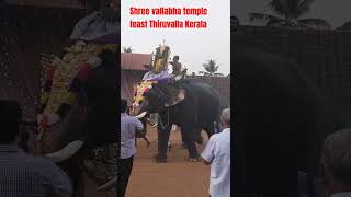 Shree Vallabha Temple feast #kerala #thiruvalla #elephant