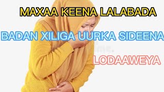 MAXAA SABABA LALABADA XILIGA UURKA SIDEENA LODAAWEYA