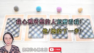 💖凱晰x塔羅💖我心裡所想的人是怎麼看我的?他/他的下一步是?