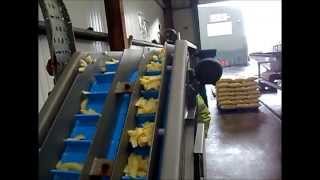 Haith Potato Peeling System