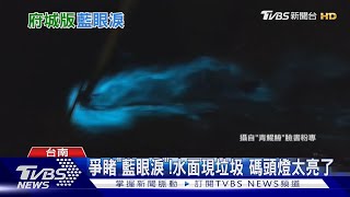 美!台南「藍眼淚」曝光百人擠爆碼頭 阿里山「福森號」試車搶拍｜TVBS新聞 @TVBSNEWS02