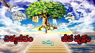 నిత్యజీవం ఇచ్చే జీవ వృక్షం-జీవిత వృక్షం|Evergreen tree| Tree of Life |Eternal Life Heaven| Knowledge