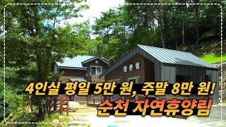 📹 순천자연휴양림에서 즐기는 가성비 1박 2일 숙소!!