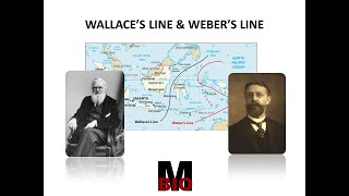 WALLACE'S LINE , WEBER'S LINE \u0026 WALLACEA