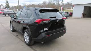 2019 Toyota RAV4 LB1096