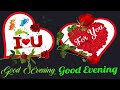 Good Evening Love Status | Good Evening Video Love