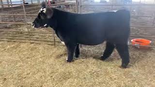 Lot 1 RCC Holdover Sale