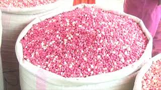 Groundnut traders plead with president for time to correct business