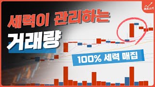 세력 신호 거래량 강의 (초보 필수 시청)