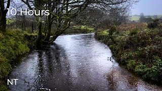 Rainy Day Stream Sounds for Sleep & Relaxation | Falling Rain & Flowing Water Sounds: White Noise