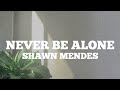 Shawn Mendes - Never be alone Lyrics