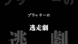 ブラッキーは逃げる！#ポケモンユナイト #ポケモン #ユナイト