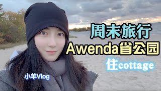 多伦多周边游|住在世外桃源的周末|安省省公园Awenda|超温馨cottage|吃火锅|Hiking|沙滩上看夕阳|调酒|Awenda Provincial Park|小羊Vlog17