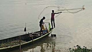 FISHING - Expensive Gulsha Tengra Fish Catching // Cast Net Fishing // BD Fish