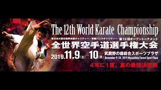 【新極真会】 第12回全世界空手道選手権大会 SHINKYOKUSHINKAI KARATE