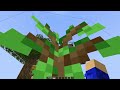 j ai vécu dans les blocs de son skyblock jusqu à ce qu il remarque…