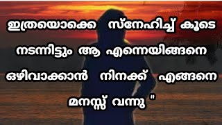 ഇത്രയൊക്കെ  സ്നേഹിച്ച് കൂടെ  നടന്നിട്ടും ആ എന്നെയിങ്ങനെ ഒഴിവാക്കാന്‍  നിനക്ക്  എങ്ങനെ  മനസ്സ് വന്നു