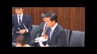 【松沢成文】参議院文教科学委員会(2015/5/26)