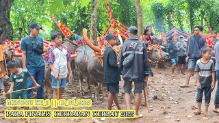 Lomba Kerrapan Kerbau Kangean 2025 Minang Kabau || Pasrah, Geltek, Macan Cilik