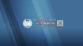 หยุดอ้วนถาวรด้วยวิธีนี้ ความลับที่คุณไม่เคยรู้ I พี่ปลาHealthyFish