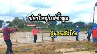 ลุ้นระทึกปลาบึก(บิ๊กหวาย)เขื่อนราษีไศล @fishingchannel5119