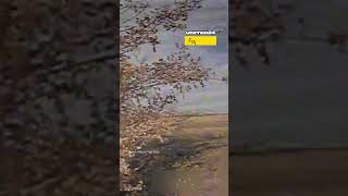 Russian Soldier's Last Radio Message Before Being Struck by Ukrainian Drone #warinukraine
