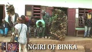 Ngiri of #binka (Bfubfu in Binka)