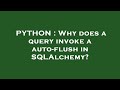 PYTHON : Why does a query invoke a auto-flush in SQLAlchemy?