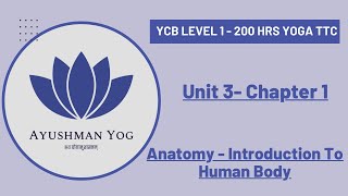 YCB Yoga TTC Level 1: Unit 3, Chapter 1 | Human Anatomy : Brief Introduction To Human Body