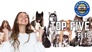 Exploring the World of Cherished Companions: Top 5 Pets [4K]