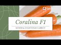 CORALINA F1 | Takii Seed | ENG