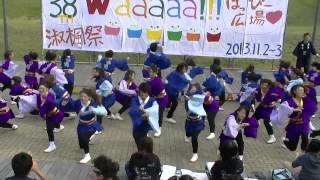 よさこい探究会　「鳴踊」①　淑楓祭2013