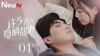 💚【ENG SUB 甜宠剧】许少的隐婚甜妻Ⅱ 01丨霸道总裁与青梅竹马的隐婚之途历经磨难后最终收获爱情